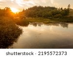 Small photo of Wetland Watershed on Lummi Island, Washington. The role that they play in our watersheds is critical to protecting water quality and moderating water quantity.