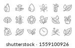 plants line icons. leaf ... | Shutterstock .eps vector #1559100926