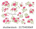 camellia blossom tree clip art  ... | Shutterstock .eps vector #2175403069