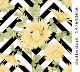 chrysanthemum. seamless pattern ... | Shutterstock .eps vector #547643656
