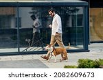 Small photo of A businessman with sunglasses dressed smart casual is holding coffee to go and walking his dog in the urban exterior. A businessman with a dog on a leash