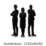 Silhouette of group of...