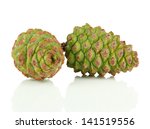 Green Pine Cones Isolated On...