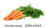 Carrots Isolated On White