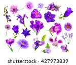 Collage Of Purple Color Flowers ...
