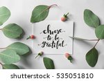 quote "choose to be grateful"... | Shutterstock . vector #535051810