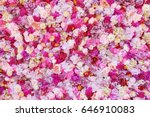 Beautiful flowers as background