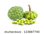 Lotus Seeds Green Isolated
