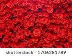 Red Roses Background. Romance...
