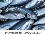 Tuna Fish On Ice Exposition Sea ...
