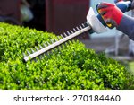 Cutting A Hedge With Electrical ...