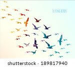 Colorful Silhouettes Of Flying...