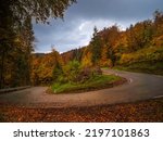 Paved road curve covered with fallen colorful forest leaves after autumn rain. Autumn leaves lying on wet asphalt road leading through forested hillside in vibrant colors of fall season on a rainy day