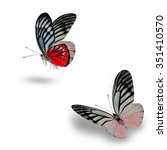 beautiful red butterfly flying... | Shutterstock . vector #351410570