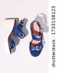 high heels blue sandals isolated | Shutterstock . vector #1733138123