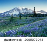 Washington State  Mount Rainier ...
