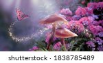 Fantasy Magical Mushrooms And...