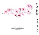 Cherry Blossom. Creative...