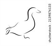 Vector illustration of duck painted with simple lines. Symbol of mallard and farm animal.