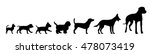 Vector Illustration Of Dog On A ...