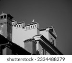 A seagull sits on the roof of an old house in the city center. Blue skies and colorful houses. Tiled roofs and ventilation pipes. Cozy resort town in summer. Rovinj, Croatia - July 7, 2023