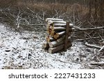 Small photo of Winter. Trees of a part of a coppice among a wild meadow are cut. Everywhere boughs and thin fragments of trunks lie. Firewood is originally put. Everything is strewn lightly with snow.