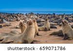 Cape Cross Seal Reserve In The...