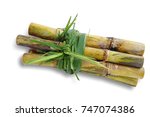  Fresh green sugar cane cut into slices before it is squeezed into sugar isolated on white background.This has clipping path.                          