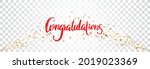 congratulations sign letters... | Shutterstock .eps vector #2019023369
