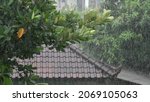 Small photo of The brown roof of house c and the green tree under the torrential tropical rain. A beautiful shot with heavy downpour in the daytime. Urban environment. Rainy season in Indonesia on the island of Bali