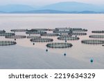View of sea fish farm cages and fishing nets, farming dorado, sea bream and sea bass, process of feeding the fish a forage, with marine landscape and mountains in the background, Ionian sea, Greece