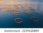 Aerial drone top view of sea fish farm cages and fishing nets, farming dorado, sea bream and sea bass, feeding the fish a forage, with marine landscape and mountains in the background, Adriatic sea