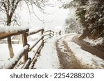 Rural road in winter. Ordinary mountain road in the snow. Path along the village. Snow melts on the road. Blur, selective focus