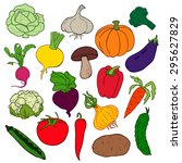 vector illustration   vegetables | Shutterstock .eps vector #295627829