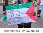 Small photo of Buenos Aires, Argentina, Feb 16, 2024: demonstration in solidarity with Palestine against Israel genocide attack. Unrecognizable woman holding a poster with the text Cease fire.