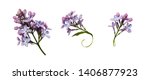 set of lilac flowers and leaves ... | Shutterstock . vector #1406877923