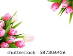 Pink Tulip Flowers Corners...