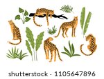 Vector Set Of Leopards And...