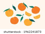 set of drawn tangerines. citrus ... | Shutterstock .eps vector #1962241873