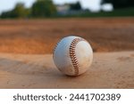 Small photo of Baseball Set on Home Base in the Infield