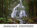 A long exposure capture of the beautiful Nelson Falls located in Tasmania, Australia