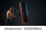 Small photo of Male boxer training with punching bag isolated. Young attractive boxer training on punching bag. Male boxer exercise before fight. Boxer hits punching bag Defence.