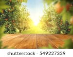 wooden table place of free space for your decoration and orange trees with fruits in sun light 