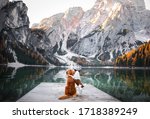 two dogs stand on a wooden pier. Mountain Lake Braies. boat station. landscape with a pet