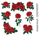 set red rose sketch isolated on ...