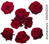 Collage of red roses isolated...