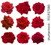 Collage Of Red Roses Isolated...