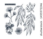 australian flowers collection.... | Shutterstock .eps vector #1455572246
