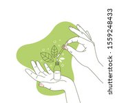 woman hand holding organic... | Shutterstock .eps vector #1559248433