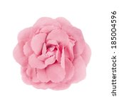 Pink Brooch Flower Isolated On...